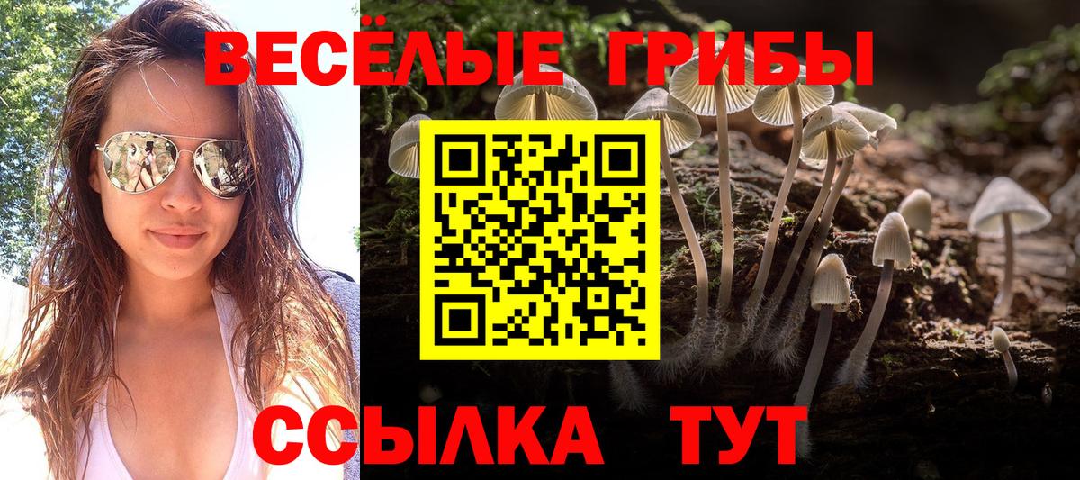 Псилоцибиновые грибы мухоморы Димитровград