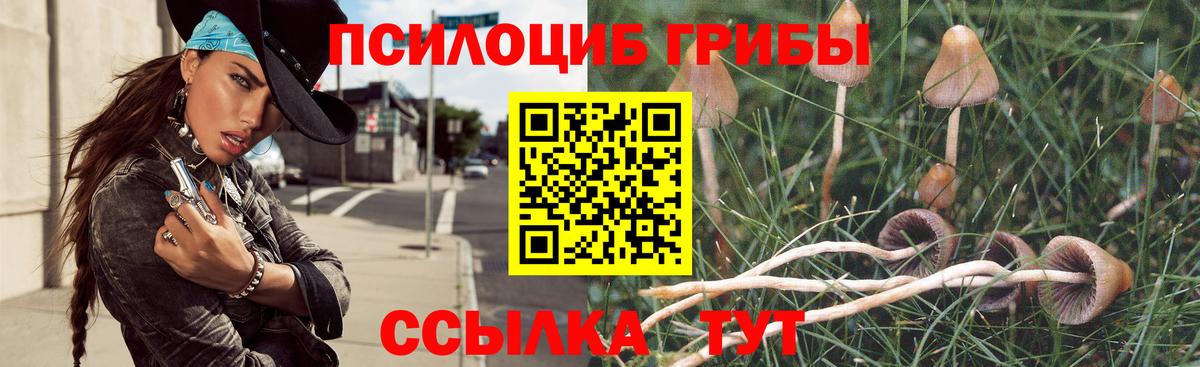 Димитровград  Галлюциногенные грибы мухоморы  Вход с VPN  Псилоцибиновые грибы мухоморы 